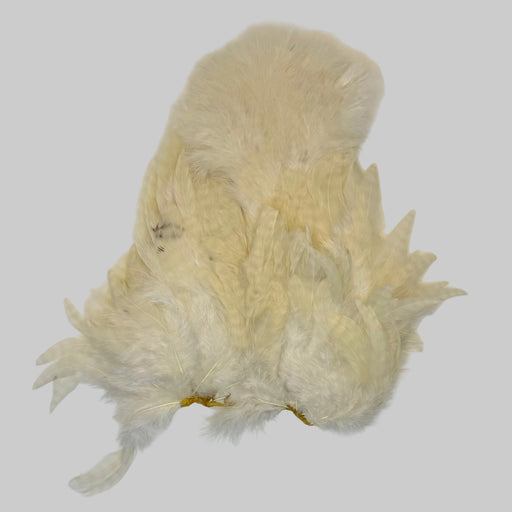 Large patch of white soft hackle feathers