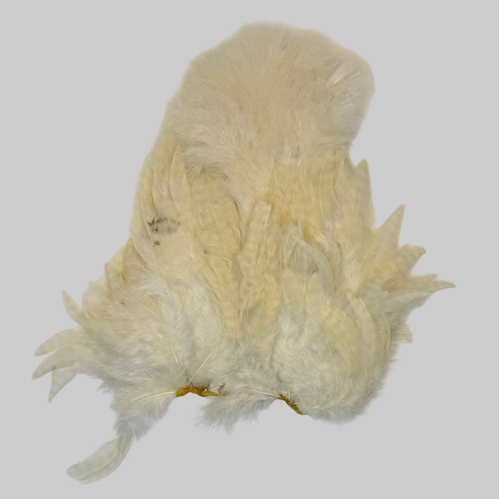 Large patch of white soft hackle feathers