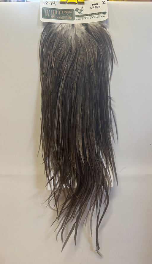 Long dark grey saddle feathers marked 12-14 Pro Grade #2