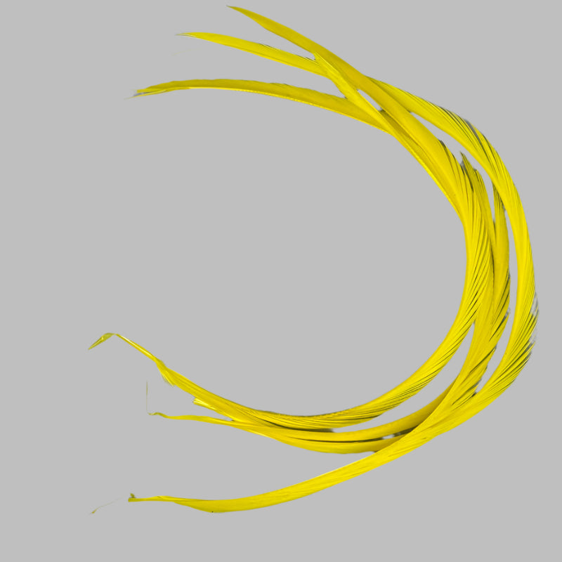 Biot feathers in bright yellow