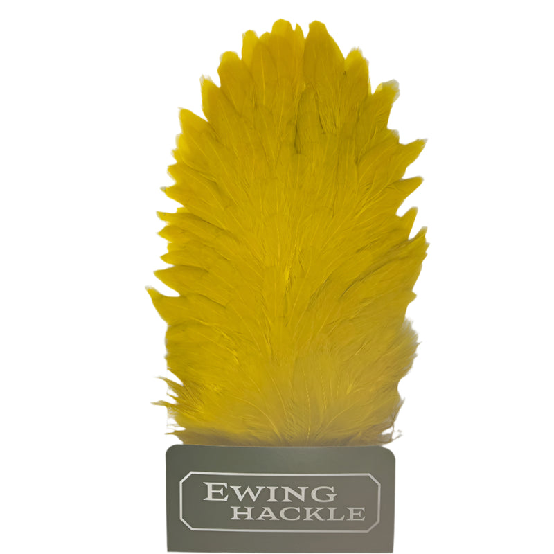Ewing hen saddle bright yellow feathers cluster