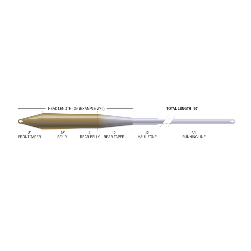 Tapered fly line diagram with head and belly zones, total length 90'