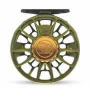 Fishing reel with olive green spoked rim and gold center logo