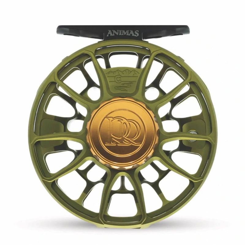 Fishing reel with olive green spoked rim and gold center logo