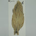 Sideling Hill Hackle barred cream cape grade 2 #1