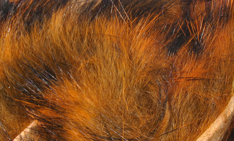 close up of crawfish orange barred rabbit strips 