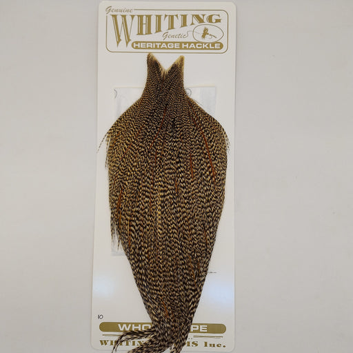 whiting cree neck