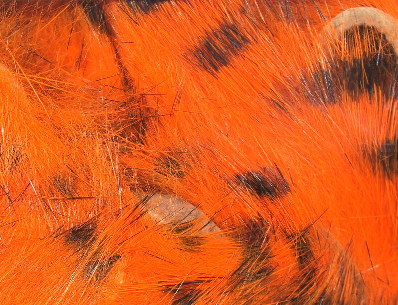 close up of hot orange barred rabbit strips 