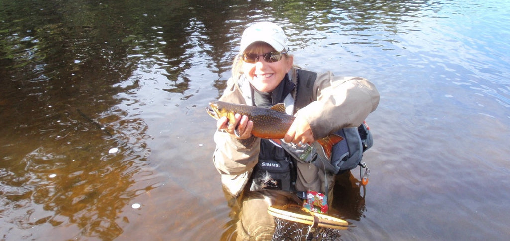 magalloway river brook trout maine fly fishing shop