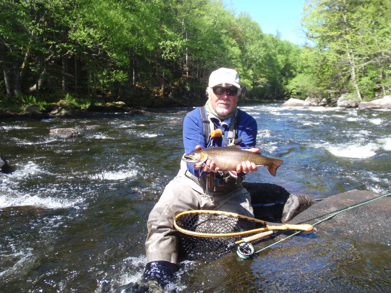 Best sales - BFC Fly Fishing
