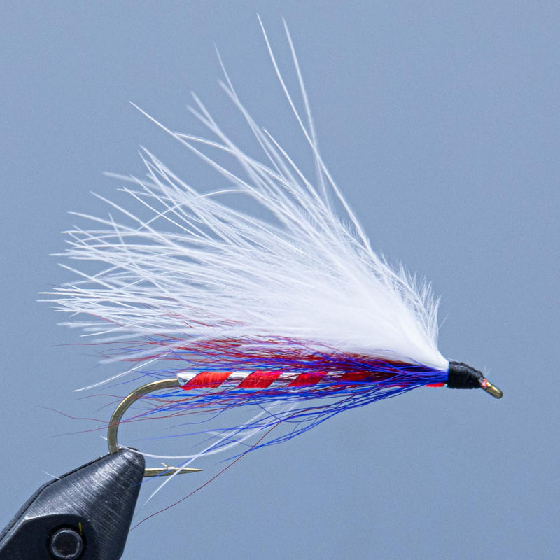 Fishing streamer fly with white feather tail, red/blue wrap, and black hook