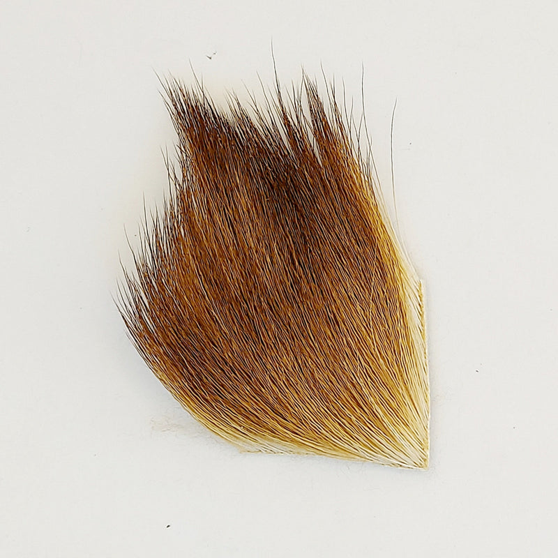 Moose body hair tuft, brown and golden with fine strands