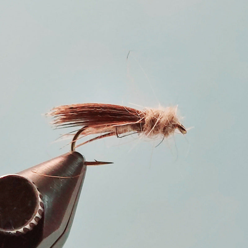 Feather fly fishing lure with orange-brown hackle tail on a hook