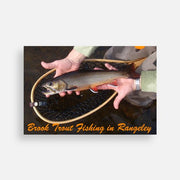Scenic postcard showing a trout being held above a net