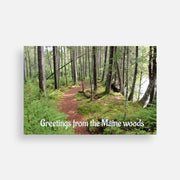 Scenic postcard showing a forest trail through tall trees