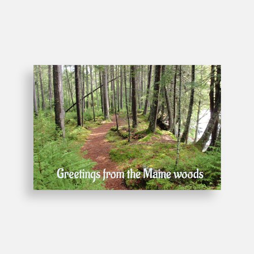 Scenic postcard showing a forest trail through tall trees