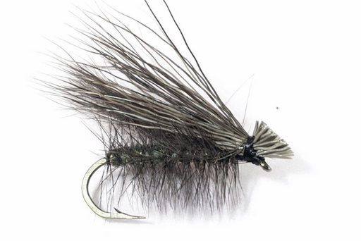 quimby caddis fly