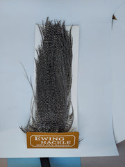 Ewing Hackle dry fly saddle on display card, dark grizzly fibers