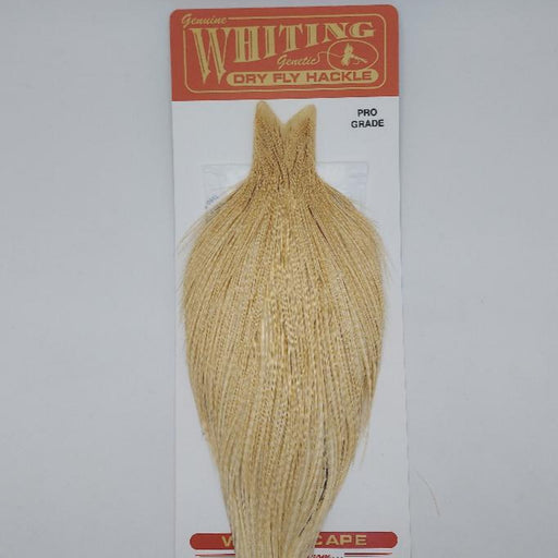 whiting farms ginger cape