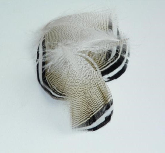 Wood duck feather cluster with black and white striped tips