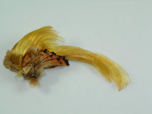 Golden Pheasant crest having long slender golden feathers used for tying Rangeley style streamers from Rangeley Maine fly shop