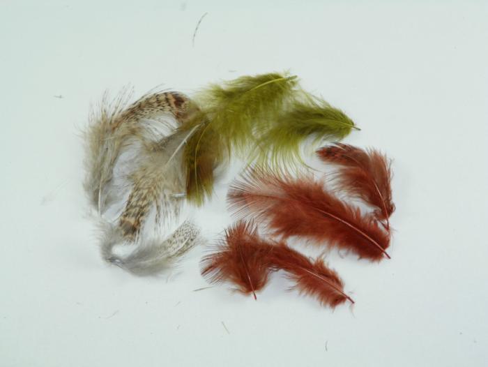 Hungarian Partridge Body Feathers from Rangeley Maine fly fishing shop