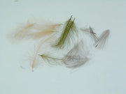 Light cream C.D.C. feather fibers, loose pile for fly tying