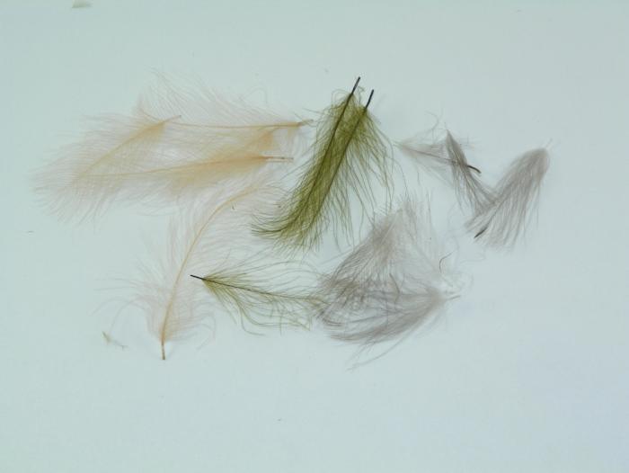 Light cream C.D.C. feather fibers, loose pile for fly tying