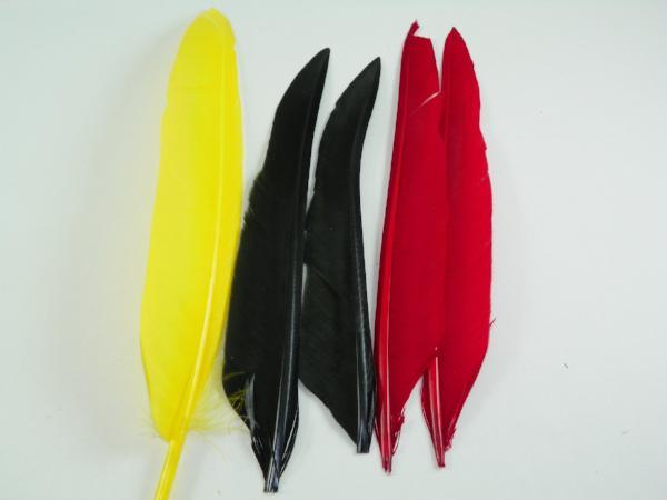 sets of duck quill feathers in yellow black and red used for tying flies from Rangeley Region Sport Shop