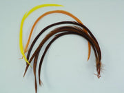 Biot feathers in yellow, orange, and brown mix