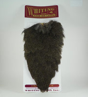 Speckled brown hen saddle feathers with layered quills