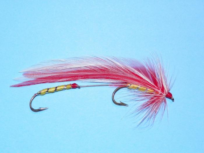 Feather fishing fly lure with pink/red streamer, gold body, red bead head