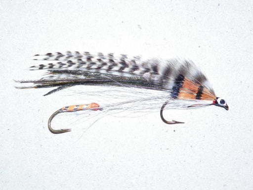 tandem trolling fly version of the Carrie Steven's pattern Golden Witch