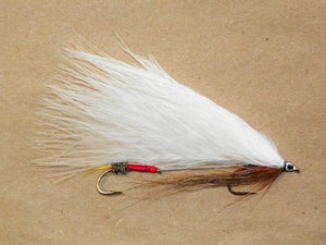 royal coachman from Rangeley Maine fly fishing shop