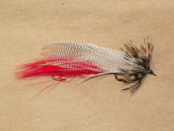 Hornberg with red insert under wing from Rangeley Maine fly fishing shop