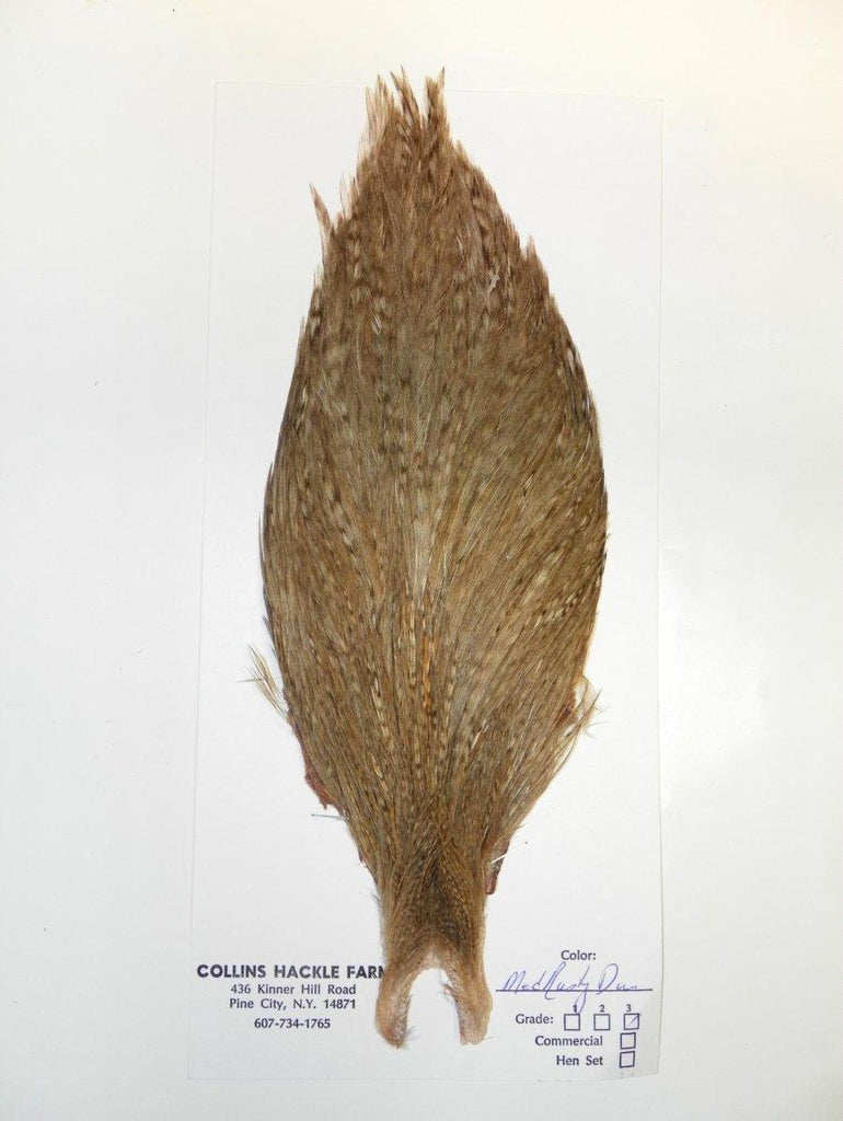 Collins neck hackle used for tying flies from Rangeley Fly Shop