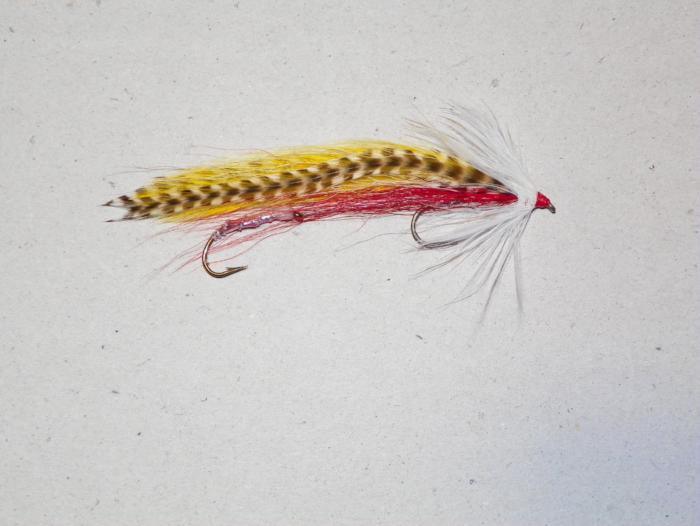 Fishing lure with yellow-and-black striped body, red belly, and white feather tail