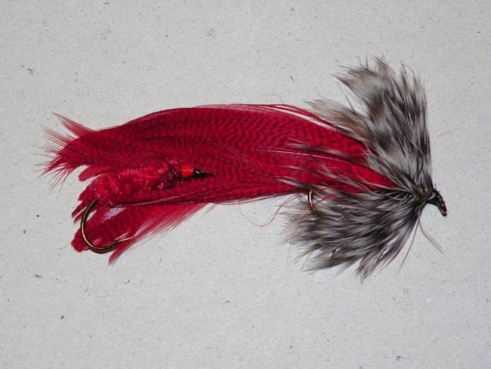 Red feather lure with gray feather tail and black accents