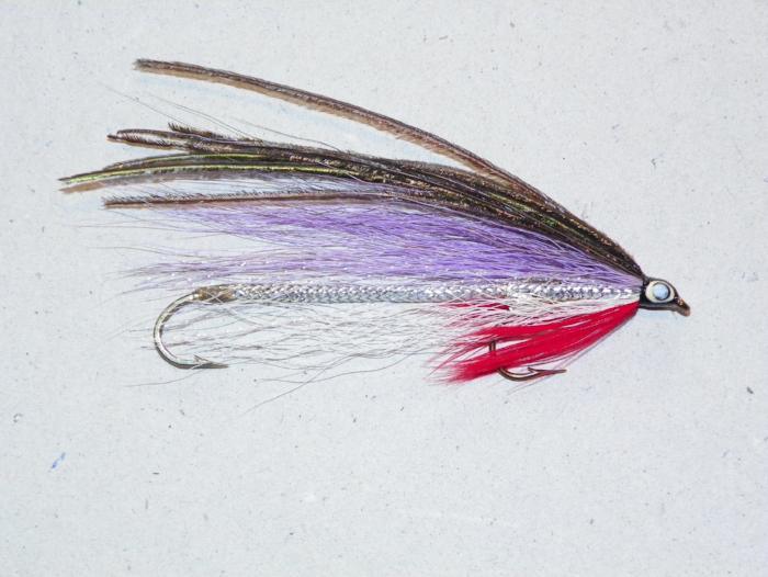 Purple fishing fly with red tail, silver body, and brown feather wings