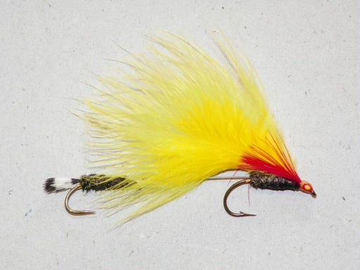 Light Edson Tiger-Marabou from Rangeley Maine fly fishing shop