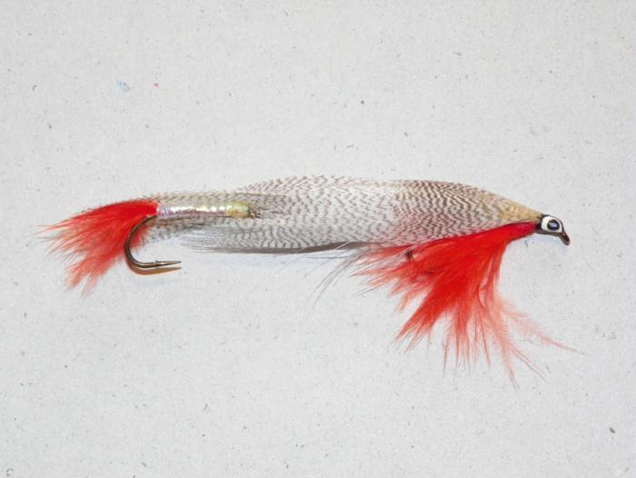 Fishing lure with silver-gray body, red feather tail, and black eye.