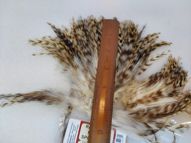 Strung neck hackle feathers, mottled brown-and-tan tuft
