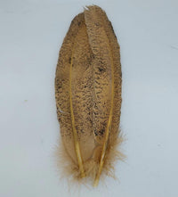 a pair of mottled turkey wing feathers which has been dyed golden yellow