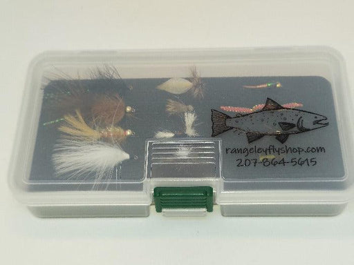 a box of 12 flies for the beginning angler