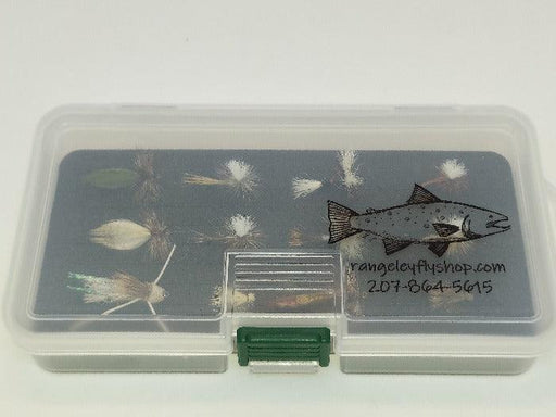 A closed fly box with a translucent lid containing 12 dry flies
