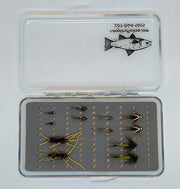 Mayfly and Stonefly fly collection in clear plastic case