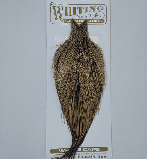 whiting hackle at a maine fly shop