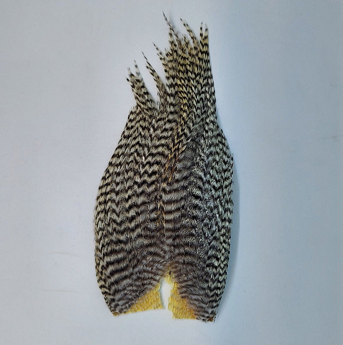Wooly Bugger patch, mottled black-and-brown feathers with yellow tail