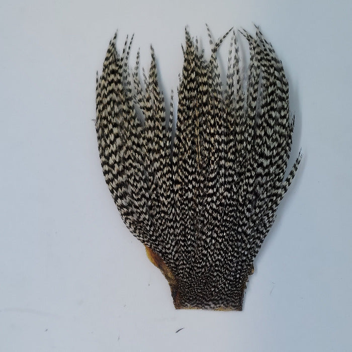 Gray-brown feather fly patch with dense pointed fibers
