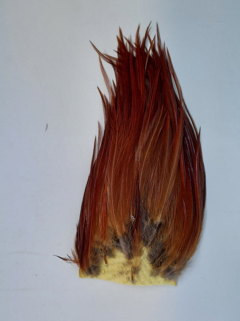 Wooly Bugger patch, rust-brown marabou with yellow base and dark tips